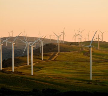 campo verde com turbinas de energia eolica e por do sol ao fundo